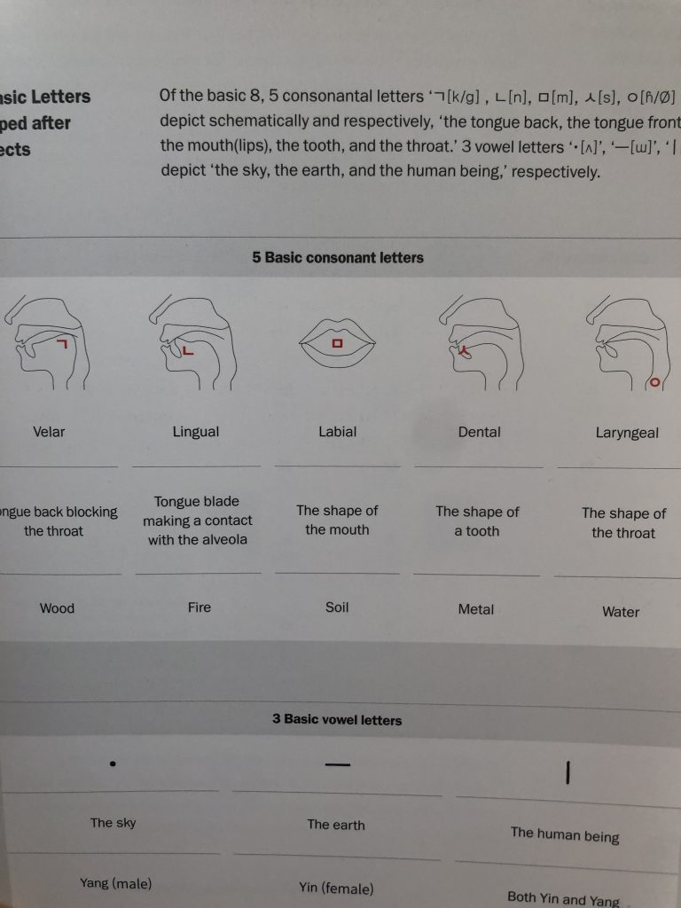 A graphic illustrating the 5 different tongue and mouth positions used to create consonant sounds mapped to 5 basic consonant letters, creating the roots of the Hanguel language.